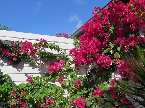 **** בית הארחה ביירון ביי Barbara'S Guesthouse אוסטרליה